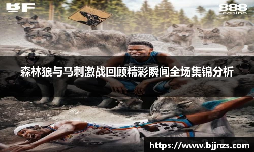 星空.综合体育官网