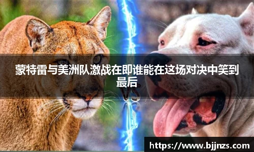 星空.综合体育(中国)官方网站